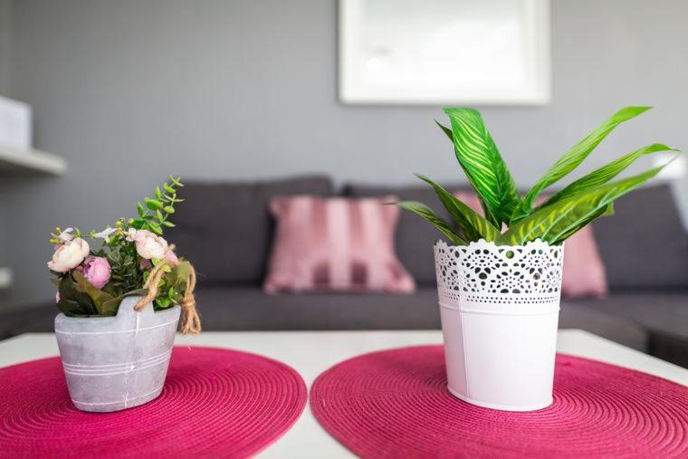 Nuevo Loft Vistas Lägenhet Corralejo Exteriör bild